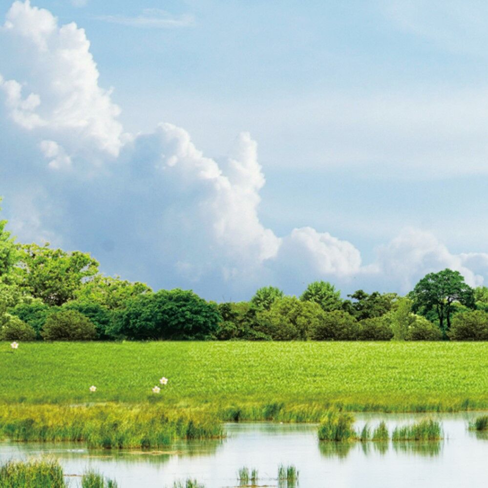 環保工程